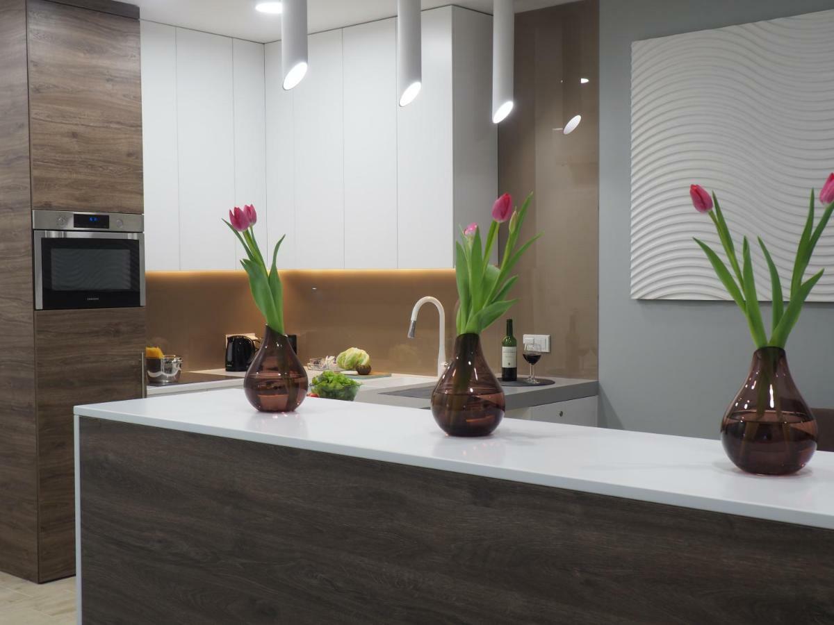 Apartament Luxury Miedzyborska 8B 华沙 外观 照片